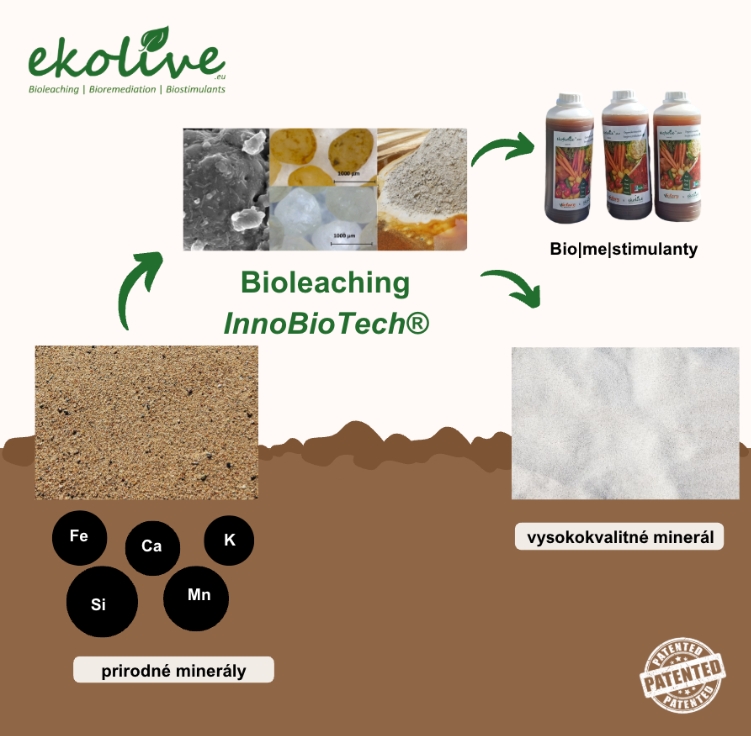 Ekologické biolúhovanie InnoBioTech®